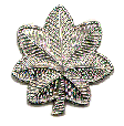 o4.gif (3729 bytes)